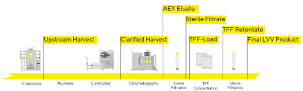 Flow diagram of Lentivirus Purification 
